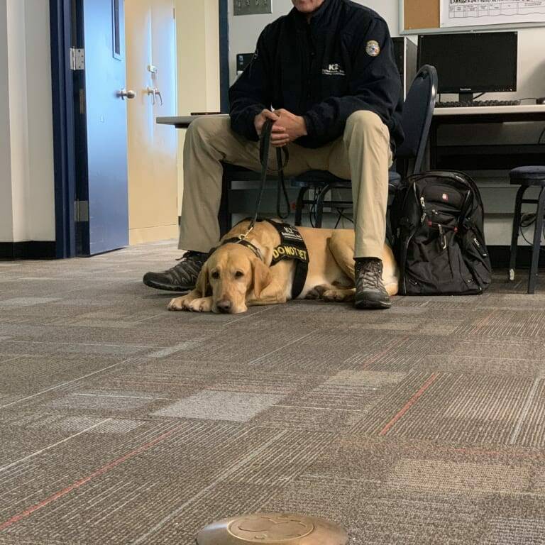 A person sits in a chair holding the leash of a yellow Labrador wearing a service dog vest. The dog is lying calmly on the carpeted floor of an office or classroom, with computer desks, chairs, and a backpack visible in the background. This scene was part of the 2019 February Luncheon hosted by K2 Solutions.