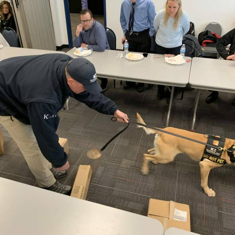 A person in a "K-9" sweatshirt guides a sniffing dog, wearing a harness marked "DO NOT PET," between boxes in a meeting room during the 2019 February Luncheon. Seven people seated at tables watch attentively, some with food and drinks in front of them.