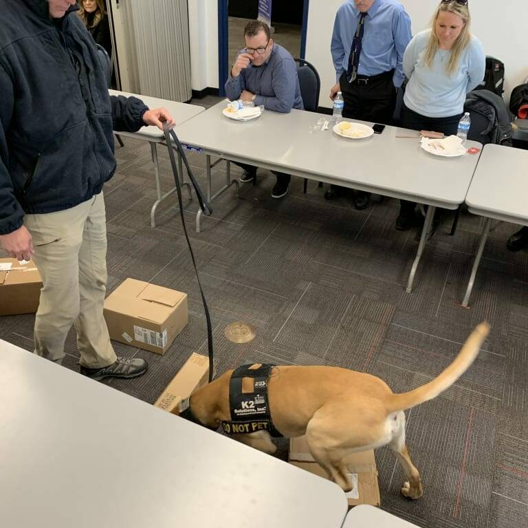 A handler with a K-9 dog wearing a "Do Not Pet" vest participates in a demonstration involving cardboard boxes on the floor at the 2019 February Luncheon hosted by K2 Solutions. Several people are seated at tables observing the activity, some holding plates of food.