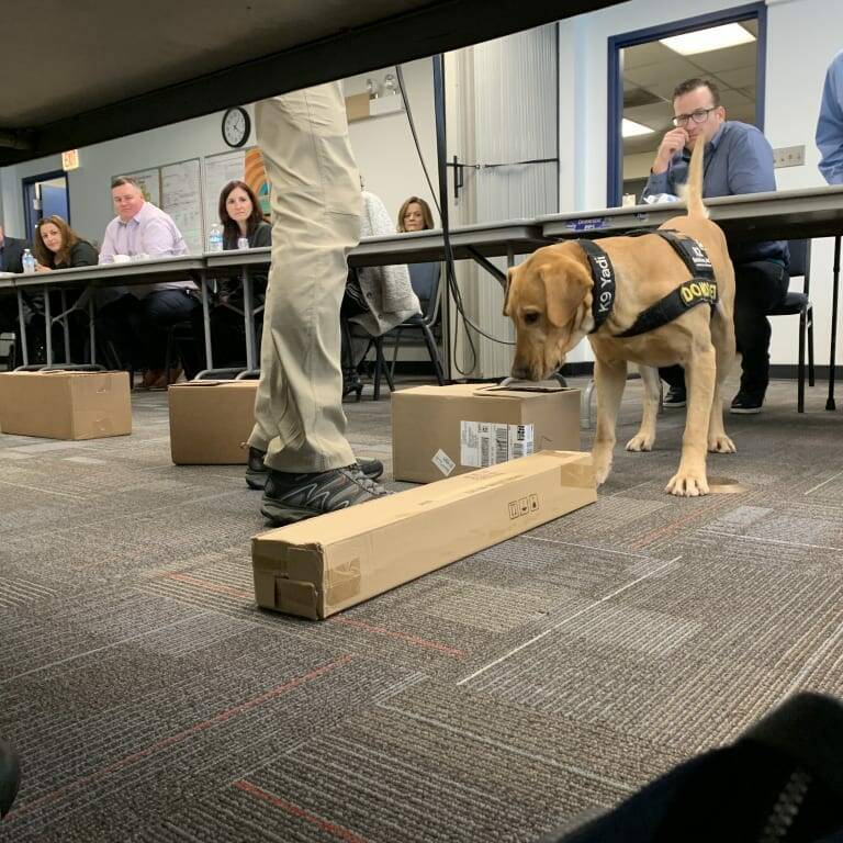 A yellow Labrador in a "sheriff" vest sniffs a long cardboard box on the floor in front of a person wearing khakis. Behind them, five people sit at a long table, watching attentively. The scene appears to be a K2 Solutions training or demonstration during the 2019 February Luncheon in a conference room.