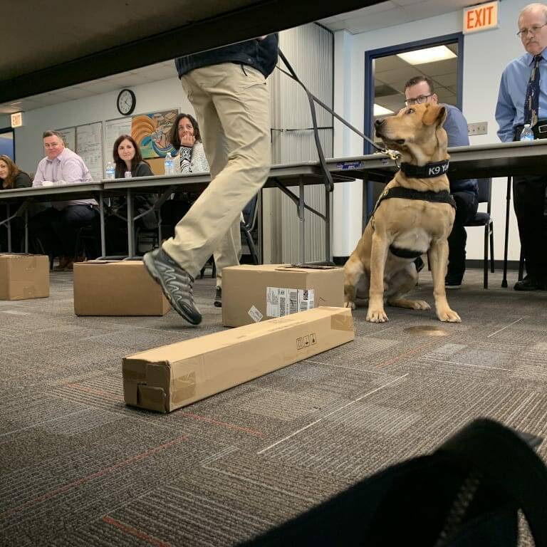 A K9 dog in a harness sits attentively next to its handler in a conference room at the 2019 February Luncheon hosted by K2 Solutions, with a table and several people seated behind it. The room contains several cardboard boxes on the floor, and an exit sign is visible in the background.