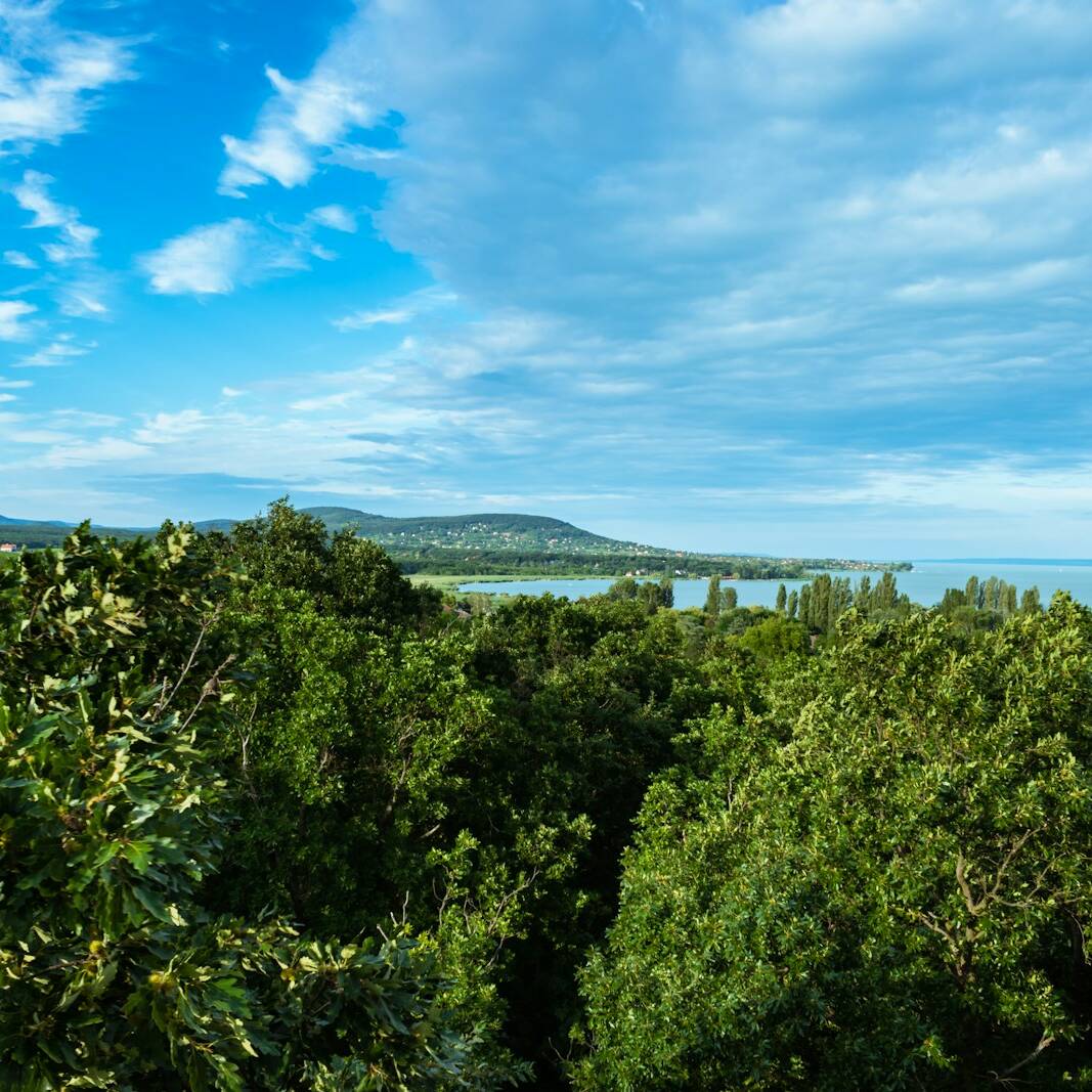 a view of the ocean from a hill top